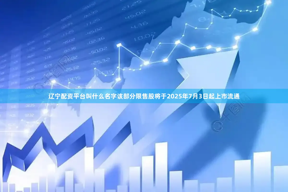 辽宁配资平台叫什么名字该部分限售股将于2025年7月3日起上市流通
